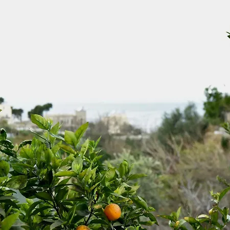 Kaja Seaview Vlorë