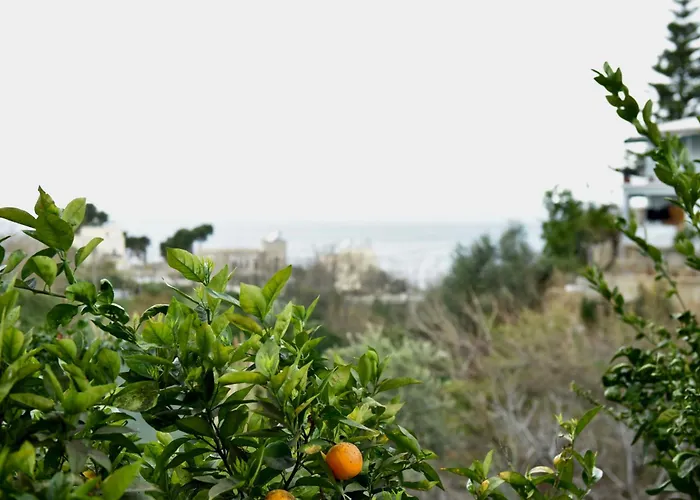 Kaja Seaview فلورا